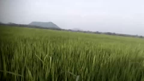 tghjiujmjkuytgh online show from February 9, 11:25 am