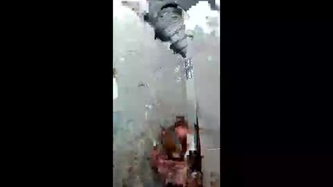 thana1987 online show from April 18, 10:05 am