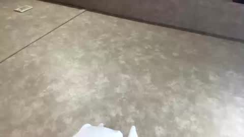 thatdaggerdick online show from October 17, 2:04 am