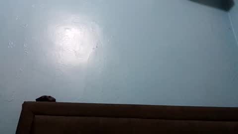 thehardestny1 online show from October 8, 2:27 am