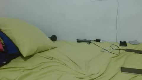 thehousedog online show from November 13, 11:59 am