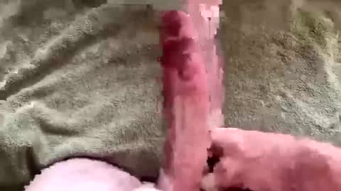 Themassivecock online show from September 25, 8:52 pm