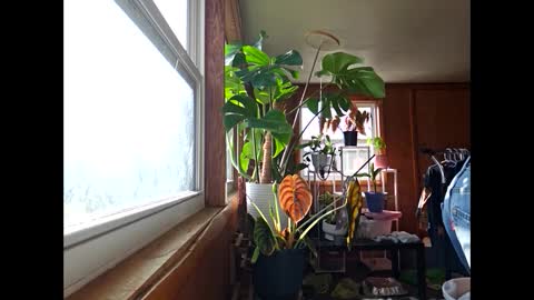 therizzler_1_of_1 online show from December 17, 3:49 pm