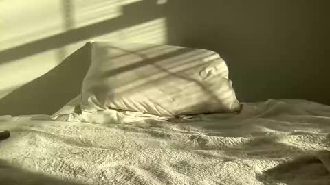 throwawaybbc97 online show from October 20, 9:08 pm