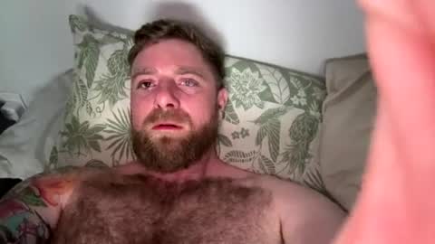 tibzi online show from July 15, 2:18 am