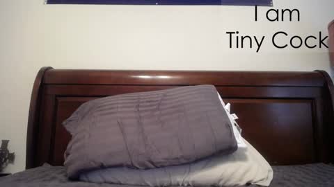 tinycock_1979 online show from February 20, 2:35 pm