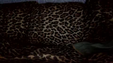 Snapshot of tmhard chatting on December 6, 11:33 am tmhard online show from December 6, 11:33 am