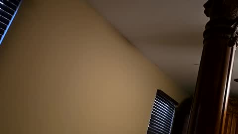 Snapshot of tnvauto chatting on November 1, 11:25 am tnvauto online show from November 1, 11:25 am