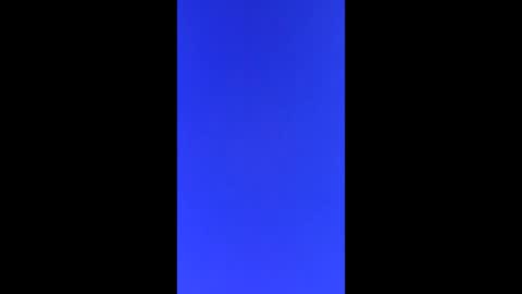 Vols online show from February 28, 11:47 am