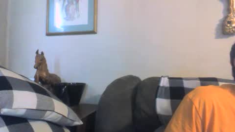 Vols online show from January 13, 6:05 pm