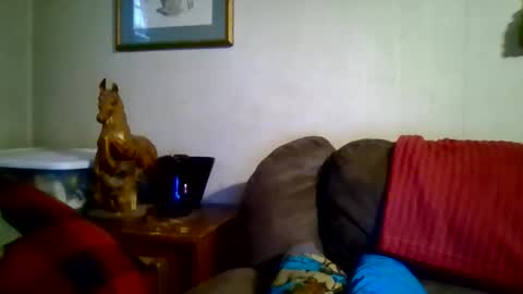 Vols online show from January 8, 9:42 pm