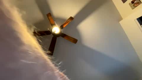 Snapshot of tommygunz62 chatting on September 13, 12:06 pm tommygunz62 online show from September 13, 12:06 pm