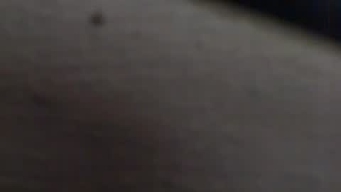 tony2700targa online show from January 13, 3:47 pm