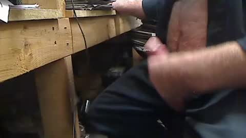 tony2700targa online show from September 24, 12:03 pm