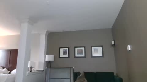 toomuchsmoke online show from February 6, 12:22 am