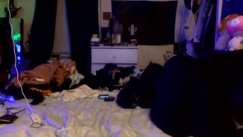 Snapshot of transcurious101 chatting on September 30, 3:23 am transcurious101 online show from September 30, 3:23 am