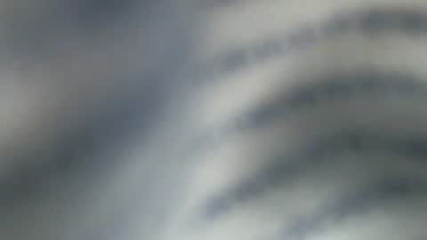 trexpo online show from February 16, 8:33 pm