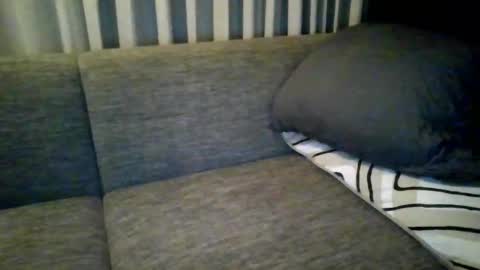 Snapshot of triciawu22 chatting on December 8, 1:36 pm triciawu22 online show from December 8, 1:36 pm