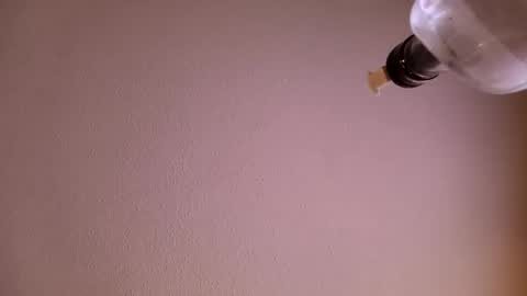 trinicdn online show from October 8, 4:39 am