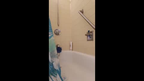 BigclockKock online show from April 2, 11:07 am