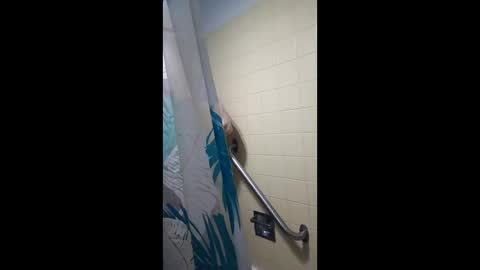 BigclockKock online show from April 14, 5:34 pm