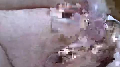 troy1965 online show from April 19, 5:29 am