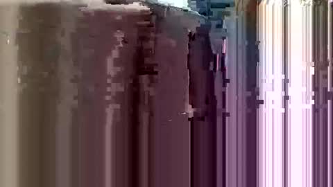 trypodman online show from February 10, 2:08 am