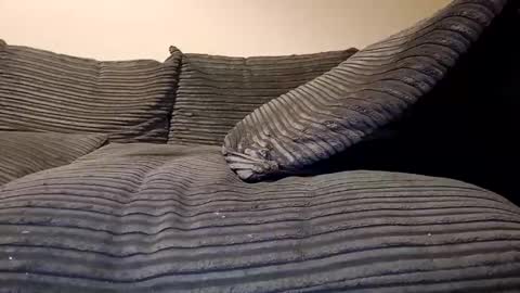 tyson2512 online show from February 11, 7:41 pm