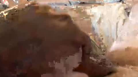 udpsu35 online show from April 14, 5:12 pm