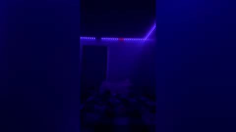 unhitchy1 online show from March 2, 4:34 am