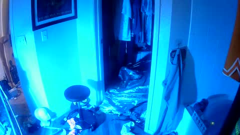 vegasmd online show from February 4, 11:38 pm