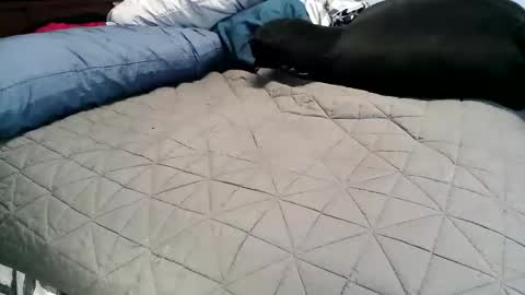 Vexnew online show from November 4, 6:53 pm