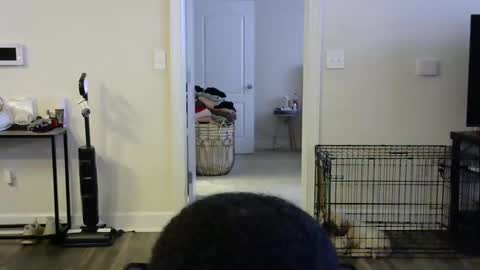 Snapshot of victoryd007 chatting on January 16, 9:30 pm victoryd007 online show from January 16, 9:30 pm