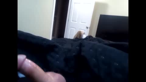 Snapshot of vladedivac1998 chatting on October 12, 5:12 am vladedivac1998 online show from October 12, 5:12 am