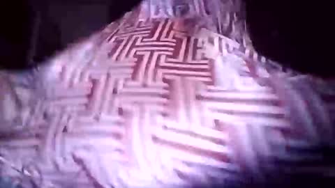 vujadetr online show from April 10, 6:31 am