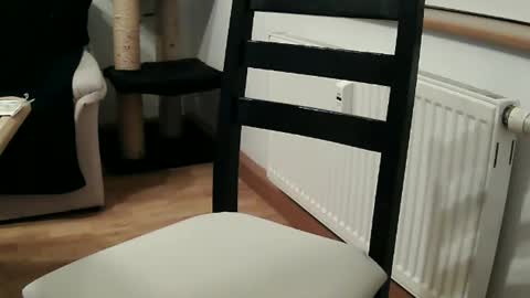 Daniel online show from October 5, 6:45 pm