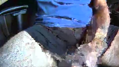 Rick online show from November 10, 2:55 pm