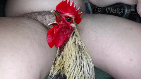 classified online show from February 9, 7:41 pm