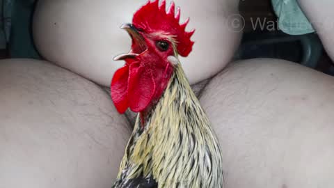 classified online show from December 25, 8:50 pm