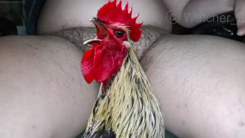 classified online show from December 8, 8:15 pm