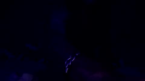 weedwacker43 online show from December 29, 7:39 am