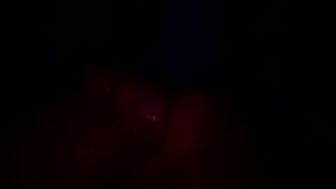 wet1nz online show from December 1, 4:48 am