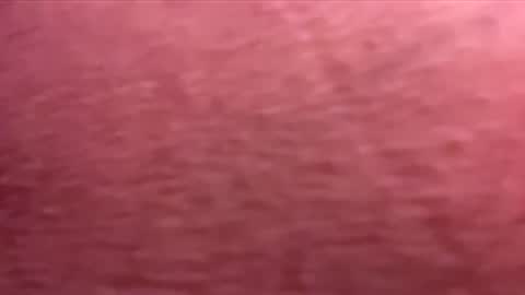 Randy online show from December 1, 1:30 am