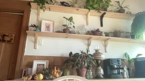 WhiskyLove online show from November 4, 4:52 pm