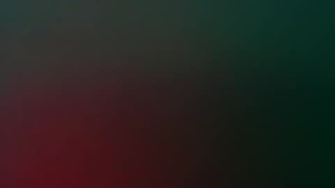 Whiteduke online show from February 28, 7:03 pm