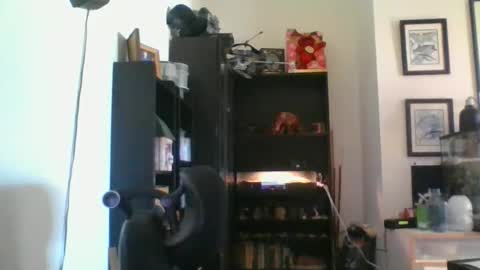 whs4fem online show from April 7, 12:10 am