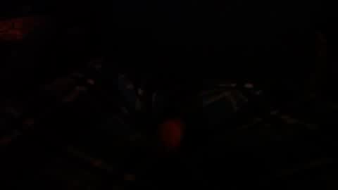 WildeAlex online show from April 11, 9:13 am