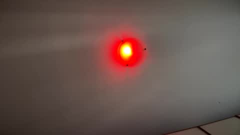 Witebull online show from September 17, 6:58 am