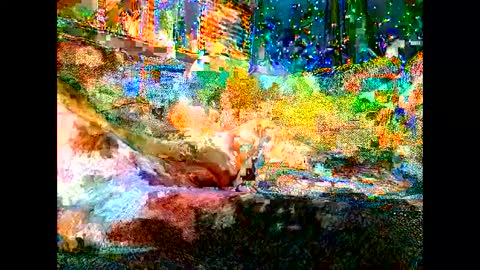 Wowokthankyou online show from September 19, 7:09 am