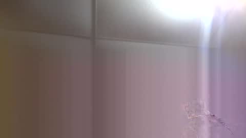 BONER DONOR online show from November 14, 1:20 am